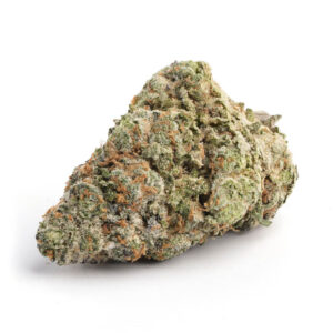 Hawaiian Mango Strain Introduction